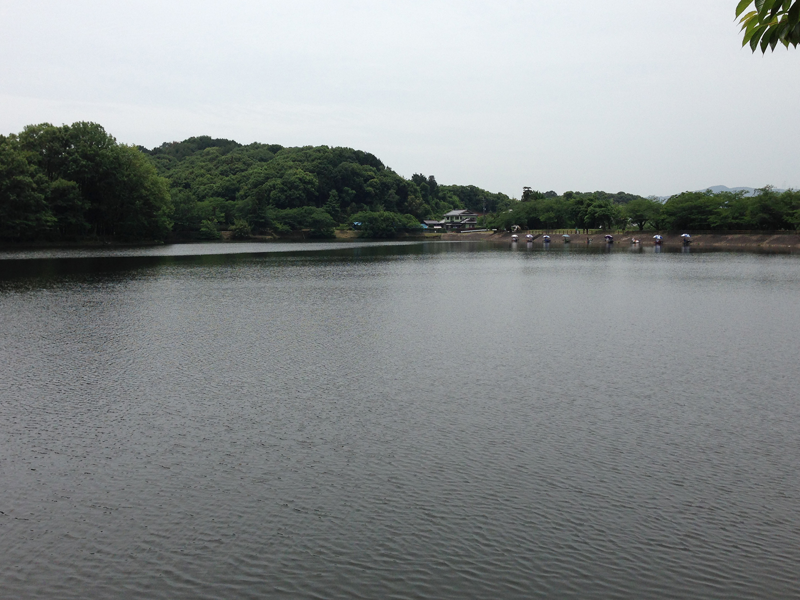 立岡自然公園風景